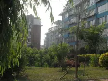 南北通厅两室标准户型 房主诚心卖 看房方便