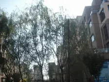 阳光书香苑 两室 南北通透 电梯楼 近大学城 配套成熟