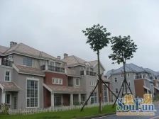 长阳·加州水郡东区别墅·6室·3厅