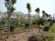 龙腾标准间地铁口业主诚心出售看房方便