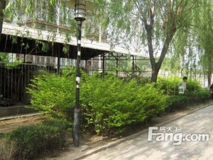 枫露花园2室2厅南北