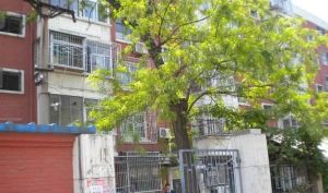 精装修拎包入住两个卫生间南北通透近公园
