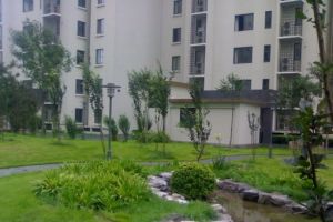 西府兰庭3室1厅南北