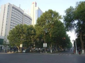 三鑫小区3室1厅南北