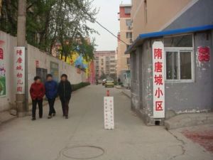 隋唐城小区3室2厅南北