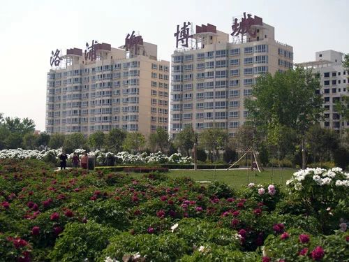 洛浦御博城1室1卫南朝向850.00元/月出租