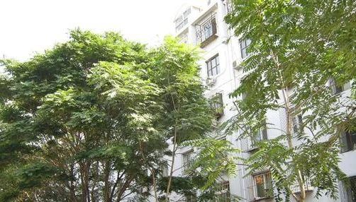 整租·颐和园·新建宫门21号院·2室
