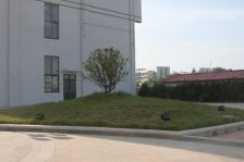 橡树湾 2室1厅 南