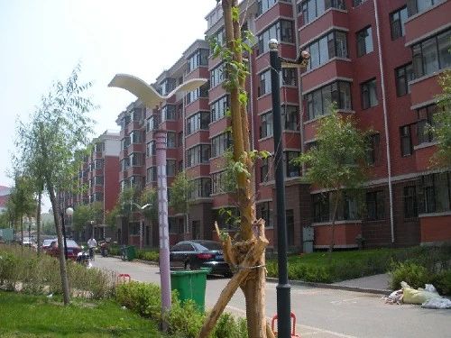 美景天城1室1卫东朝向1200.00元/月出租
