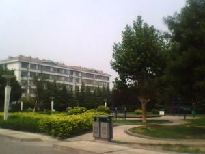 鸢飞小区3室2厅南北
