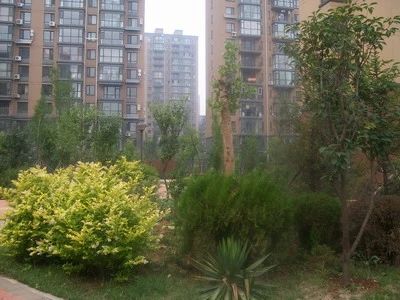 泉水人家2室2厅1卫南北朝向2300.00元/月出租