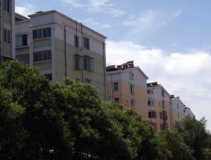 2005年 非顶层 两室 双气房 业主诚心出售可贷款