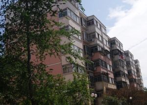 三卧朝南连通大阳台中间楼层双气采光好
