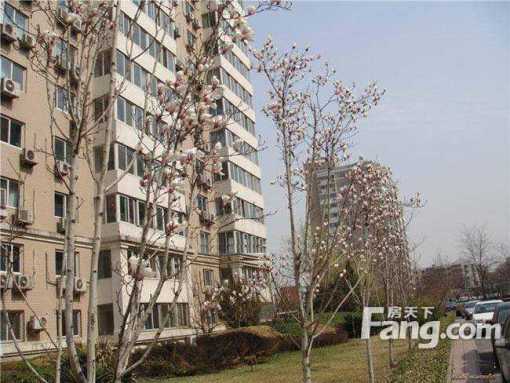 学院路柏儒苑南北2室