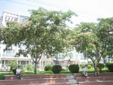 金色阳光 南北通厅 带南北大阳台 带阁楼 一共四居室