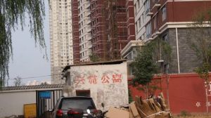 兴苑公寓3室2厅南