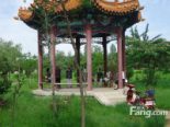 听涛公园（2011.7）