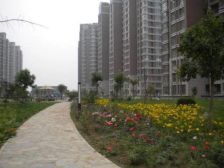 观河景遥望北京精装修拎包入住随时看房