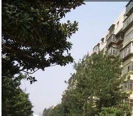 税东社区2室1厅南北