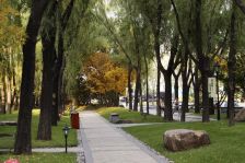 楼层好,精装修,业主诚心,可谈