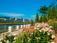 江山帝景小区,精装修,拎包入住,出行方便采光无遮挡