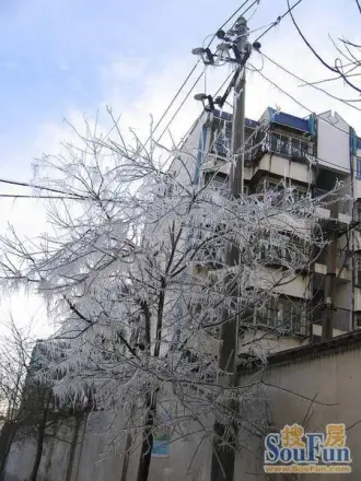 龙源花园