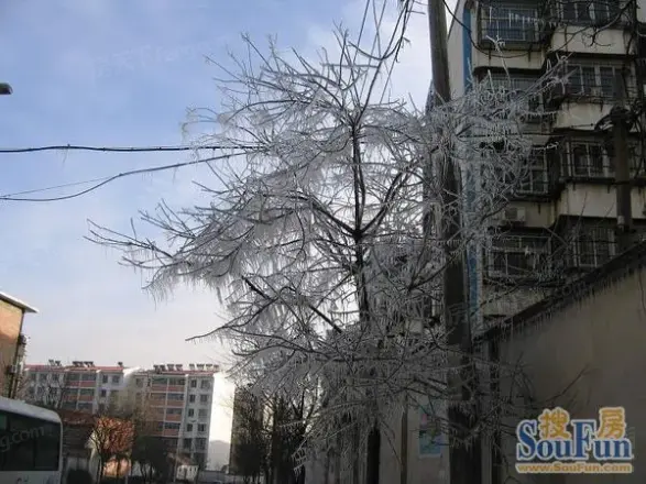 龙源花园