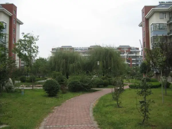 【潍坊九龙山庄小区,二手房,租房 潍坊房天下