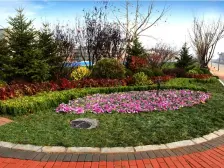 五楼南北精装修绿化高落地窗欢迎看房