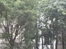 常青住宅小区3室1厅南北