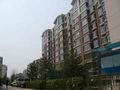 兴安丽景2室2厅1卫南朝向2500.00元/月出租