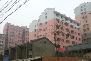 富绿新村3室2厅南