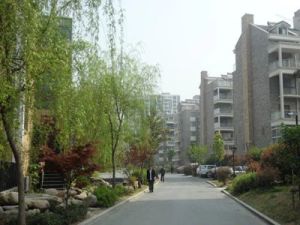 电梯中间楼层,价格实惠,楼层佳视野开阔,