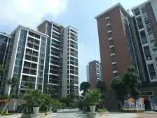 丹桂丽舍 75平 精装修 小三房