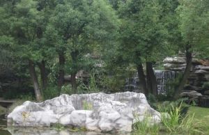 阳光小镇2室1厅南