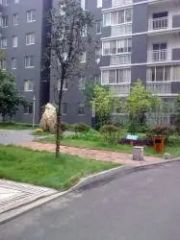 【雅塘新居】| 长沙市雨花区雅塘路258号上筑苑5栋1604房屋