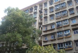东瓜山二村3室1厅南