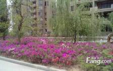 格局板正 地点好 交通便利 横道市场 通乡商店 比优特