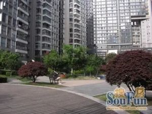 金科园3室1厅南