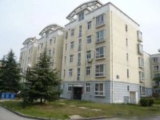 怡莲新城 3室2厅 南