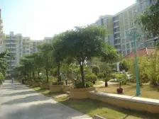 业主诚心出售,户型方正,采光好,视野开阔