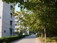 一楼带院,两室两厅65平,农科院单位宿舍,免费停车