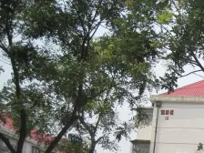 偏坡楼 1室1厅 南