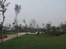 金润香江丽景南区 1室1厅 东