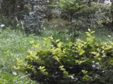 此房老本不唯一朝南楼层好采光充足无户口