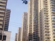 未来路航海路 双地铁 12年双气小区 南北通透低总价