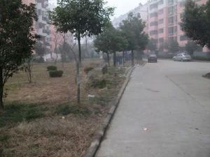 小区环境好,公摊低,适合居住。