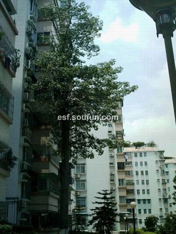 ÓʵçѧԺËÞÉá2ÊÒ2Ìü1ÎÀÄϳ¯Ïò2000.00Ôª/Ô³ö×â