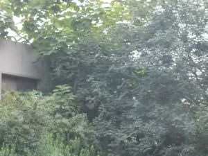 21小区2室2厅南北