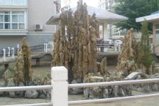 恒生小区 2室1厅 南 北